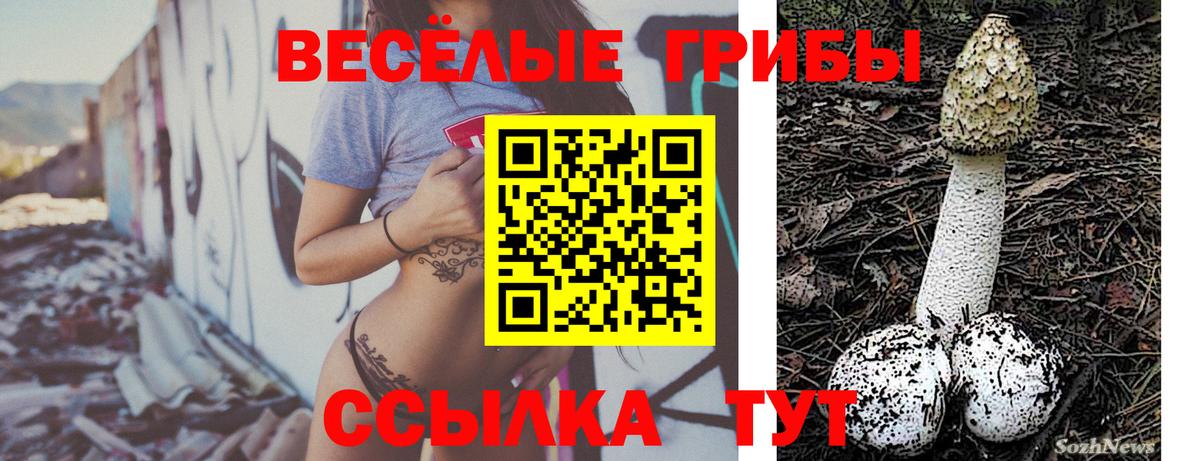Псилоцибиновые грибы прущие грибы Якутск